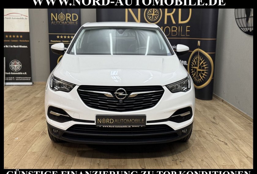 Opel Grandland (X) Grandland X 1.5 D Business *LED*AHK*360°*NAVI* B