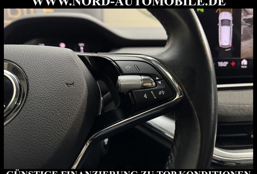 Skoda Enyaq Enyaq iV 60 Loft Pano/Kamera&amp;Navi/LED/19
