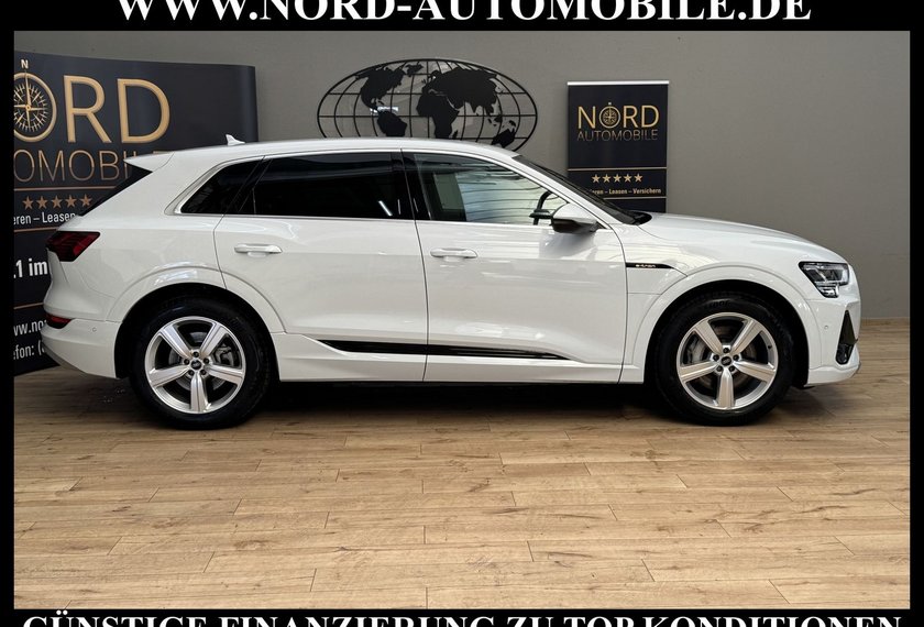 Audi e-tron e-tron 50 QU.S-Line Teilleder/Kamera/20/LED