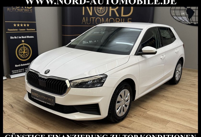 Skoda Fabia Fabia Ambition 1.0 TSI DSG Navi/LED/PDC/