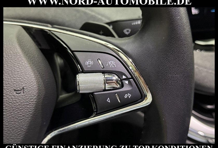 Skoda Enyaq Enyaq iV 80 Loft Kamera/Navi/LED/19/SHZ
