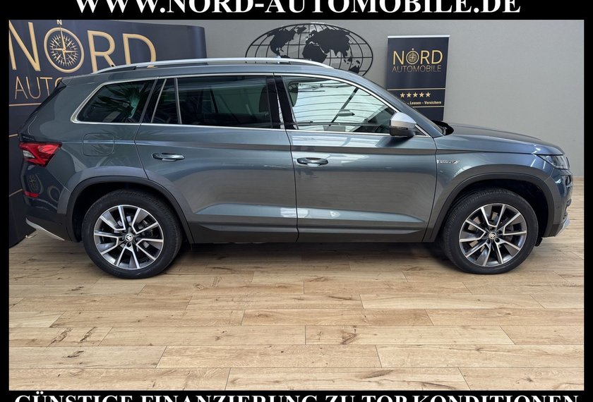 Skoda Kodiaq Kodiaq 2.0 TDI Scout 4x4 DSG StHz/AHK/Kamera/19
