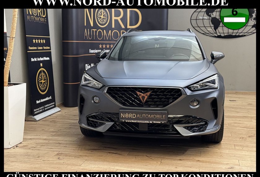 Cupra Formentor Formentor 2.0 TSI VZ AHK/Pano/Leder/Mattlack/