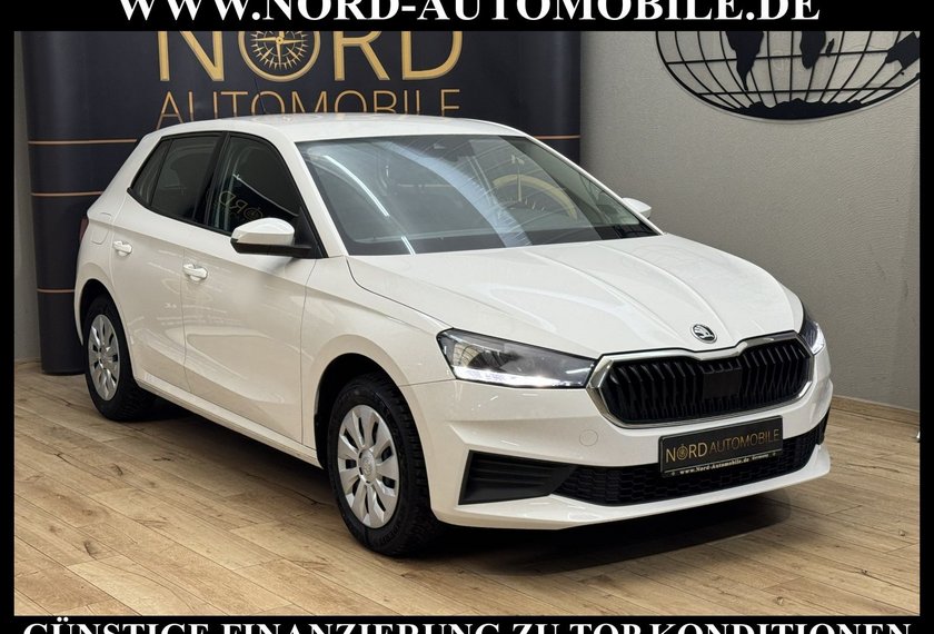 Skoda Fabia Fabia Ambition 1.0 TSI DSG Navi/LED/PDC/