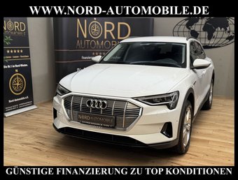 Audi e-tron e-tron 55 QU.Teilleder/Navi/LED/Side&amp;Lane/20