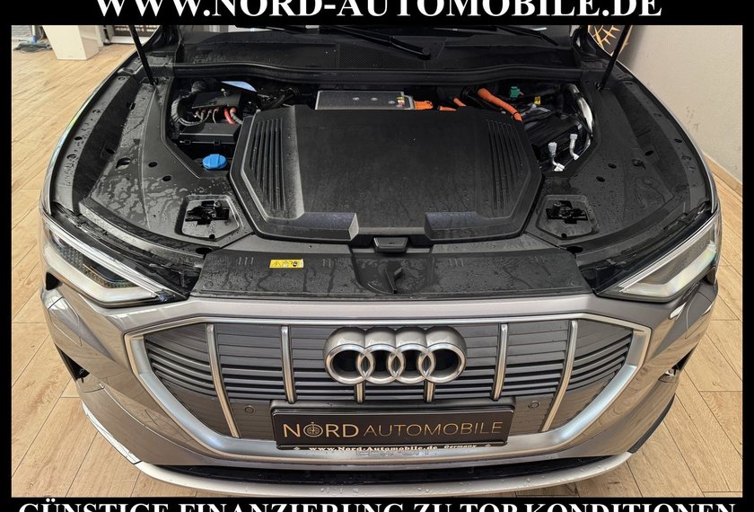 Audi e-tron e-tron 50 QU.Advanced Kamera/Navi/LED/AHK/20