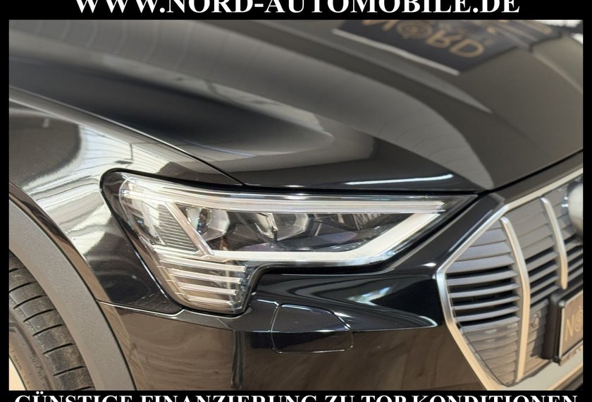 Audi e-tron e-tron 55 QU.Leder/AHK/Side&amp;Lane/LED/21