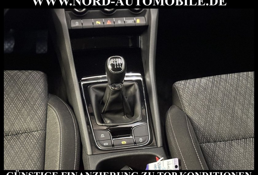 Skoda Karoq Karoq Style 2.0 TDI Navi/Kamera/Virt.Cockpit/18