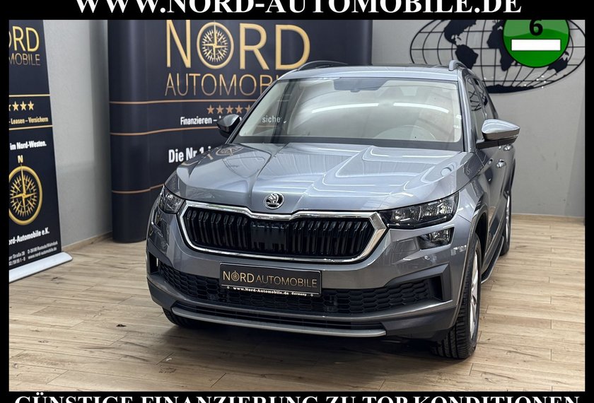 Skoda Kodiaq Kodiaq Ambition 2.0 TDI DSG Leder/AHK/Trittbrett