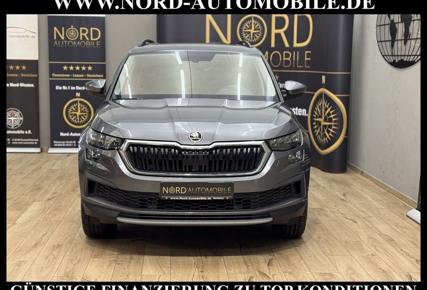 Skoda Kodiaq Kodiaq Ambition 2.0 TDI DSG Leder/AHK/Trittbrett