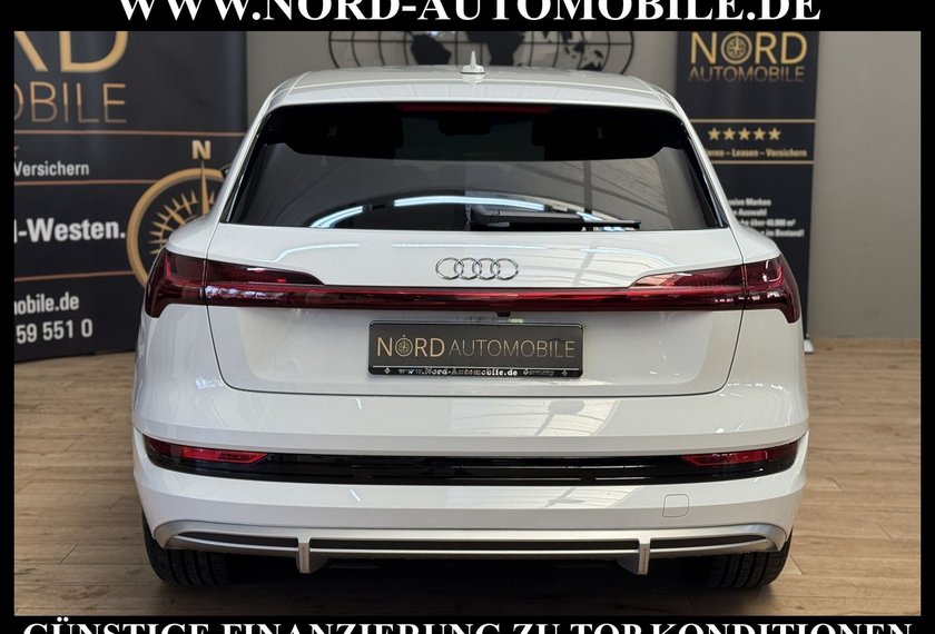 Audi e-tron e-tron 50 QU.S-Line Teilleder/Kamera/20/LED