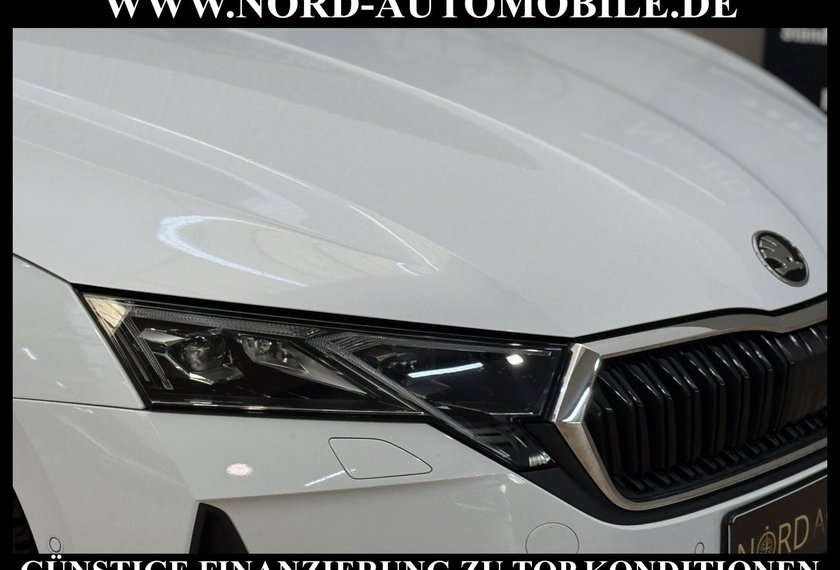 Skoda Octavia Octavia Combi eTSI DSG SELECTION LODGE*STHZ*AHK*