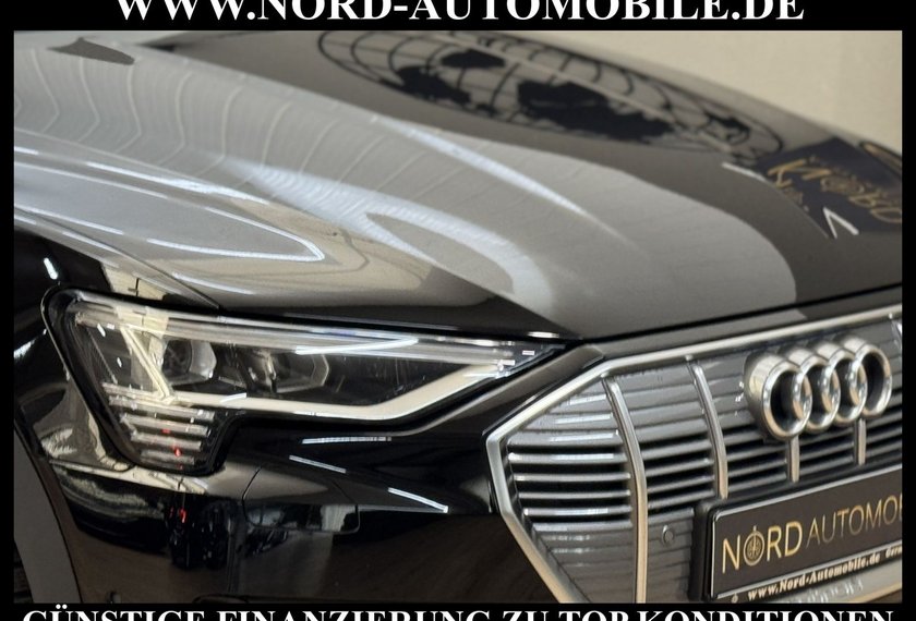 Audi e-tron e-tron 50 QU.Teilleder/Navi/LED/SHZ/20