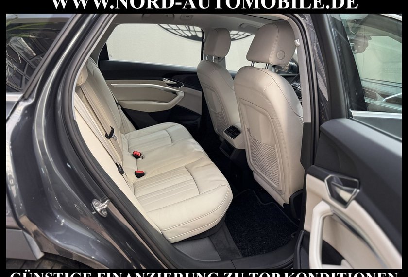 Audi e-tron e-tron 50 QU.Leder/Kamera/AHK/Panorama/21
