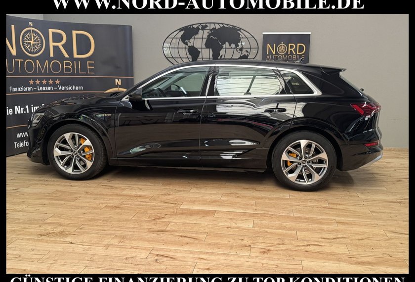 Audi e-tron e-tron 55 S-Line QU.Leder/Matrix/B&amp;O/Kamera/20