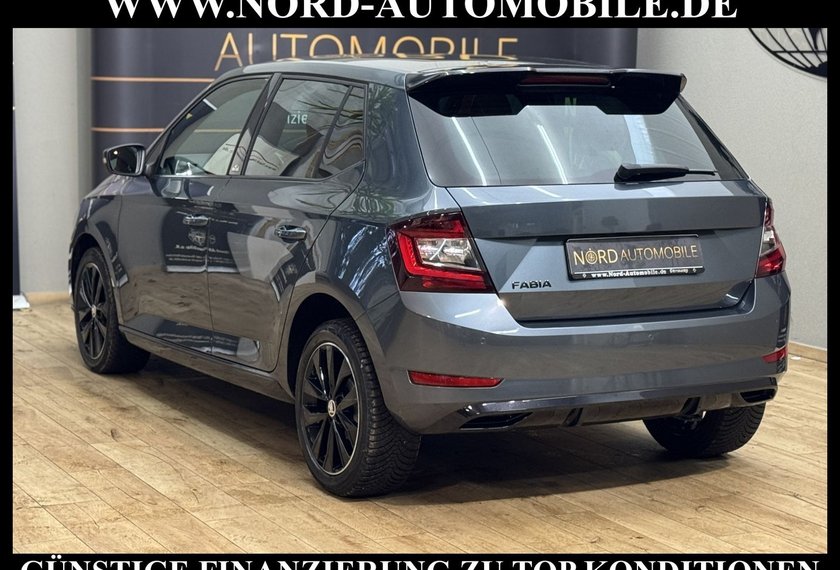 Skoda Fabia Fabia Monte Carlo 1.0 TSI LED/Pano/PDC/SHZ