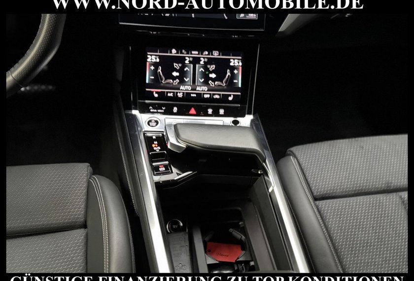 Audi e-tron e-tron 50 QU.S-Line Kamera/Matrix/B&amp;O/21/Side&amp;La