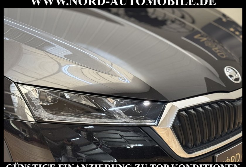 Skoda Octavia Octavia Scout Combi 2.0 TDI DSG AHK/Head-Up/18