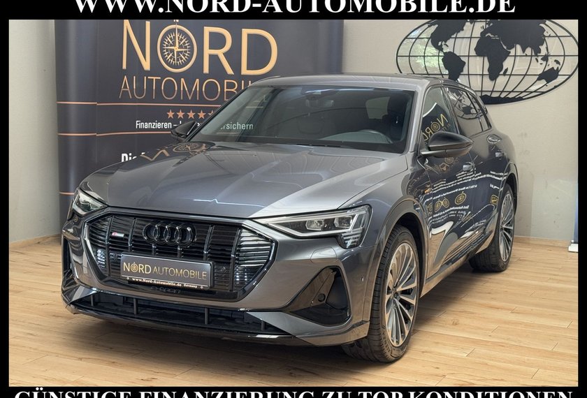Audi e-tron e-tron 55 QU.S-Line Leder/Kamera/B&amp;O/21/Leder