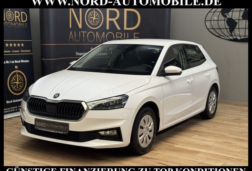 Skoda Fabia Fabia Active 1.0 MPI LED/Klima/SHZ/