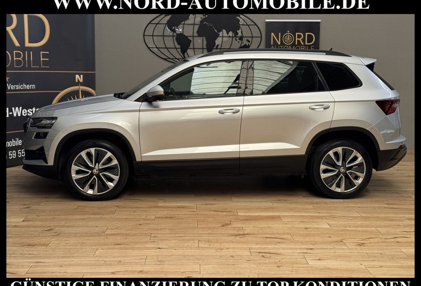 Skoda Karoq Karoq Style 2.0 TDI DSG Virt.Cockpit/Kamera/18