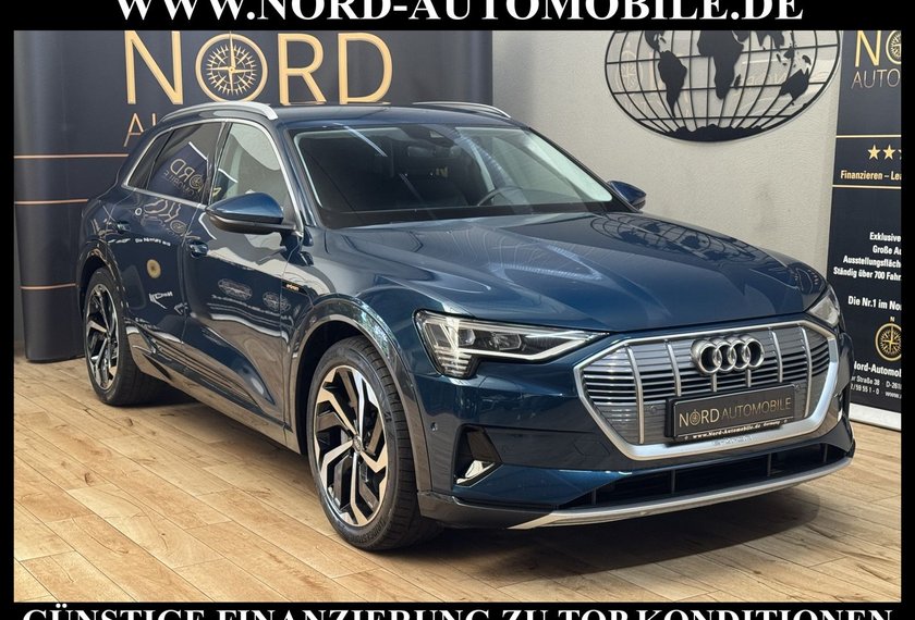 Audi e-tron e-tron Advanced QU. Leder/Matrix/Kamera/21