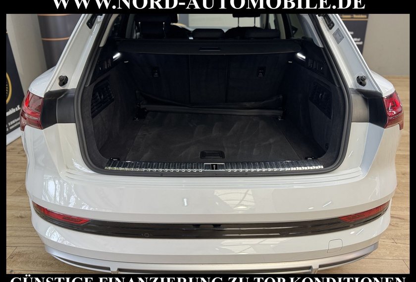 Audi e-tron e-tron 50 QU.S-Line SIDE&amp;LANE/Kamera/LED/20/