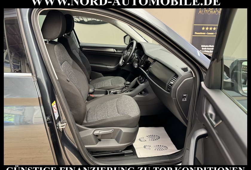 Skoda Kodiaq Kodiaq 2.0 TSI DSG Area View/Navi/LED/19/