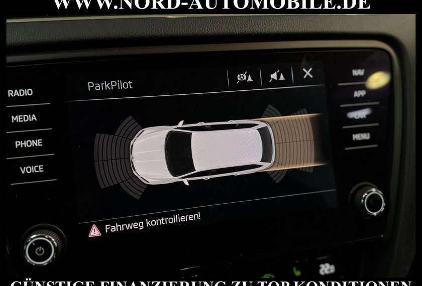 Skoda Octavia Octavia Combi RS 4x4 DSG *LED*CANTON*STHZ*