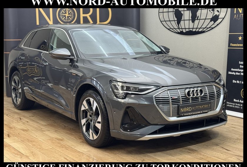 Audi e-tron e-tron 50 S-Line QU. Virt.Cockpit/Kamera/20