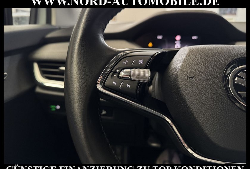 Skoda Enyaq Enyaq iV 60 Loft Kamera/Teilleder/Navi/LED/20