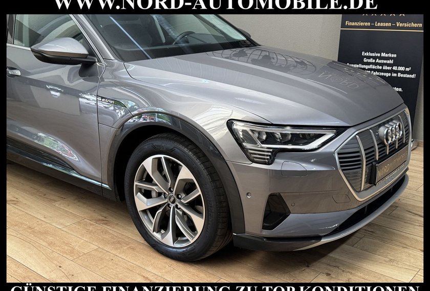 Audi e-tron e-tron 50 QU.Advanced Leder/AHK/Kamera/Matrix