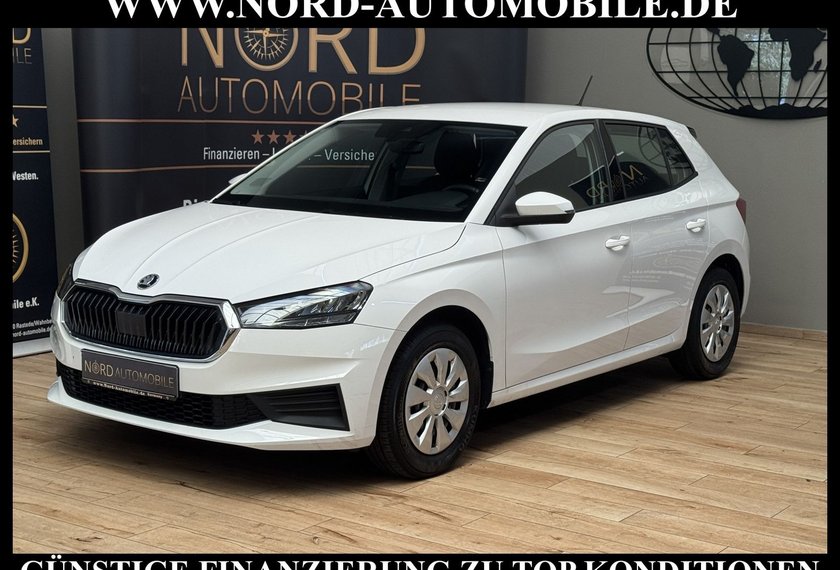 Skoda Fabia Fabia Ambition 1.0 TSI Navi/LED/SHZ