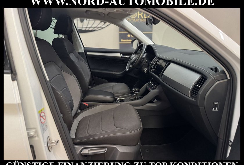 Skoda Kodiaq Kodiaq 2.0 TDI Ambition 4x4 DSG StHz/Pano/LED/