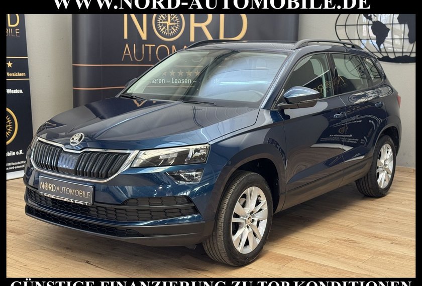 Skoda Karoq Karoq Ambition 2.0 TDI DSG Navi/PDC/SHZ/17
