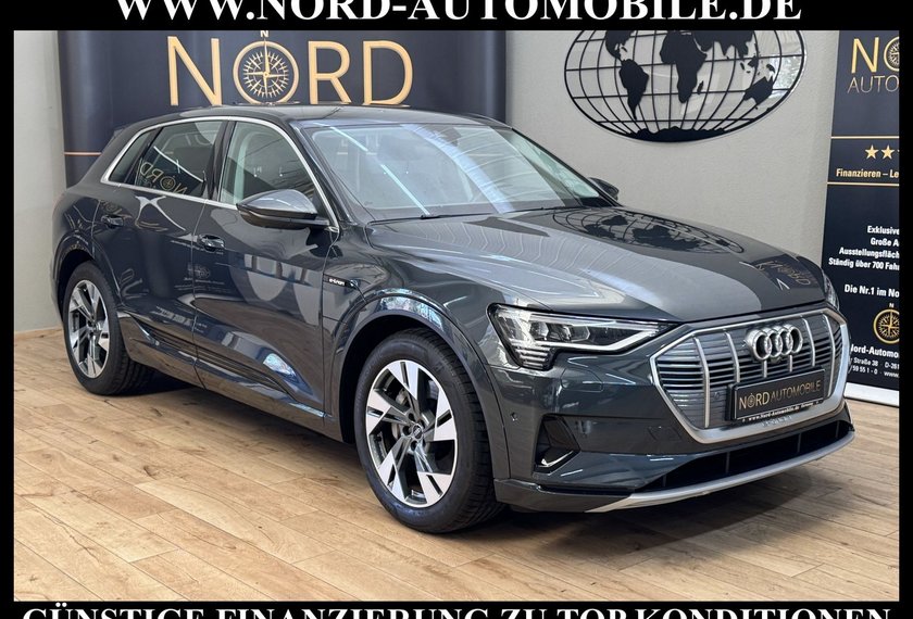 Audi e-tron e-tron 55 Advanced QU.Leder/Kamera/20/Head-Up
