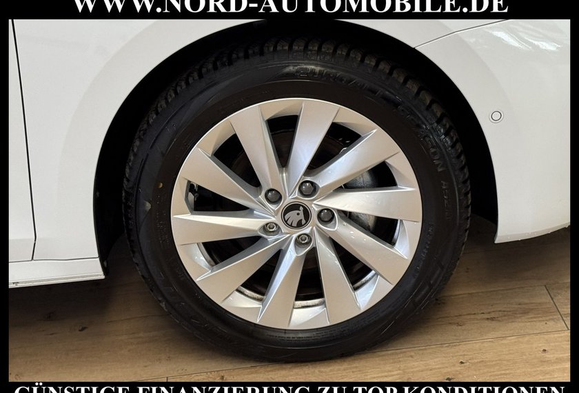 Skoda Octavia Octavia Combi eTSI DSG SELECTION LODGE*STHZ*AHK*