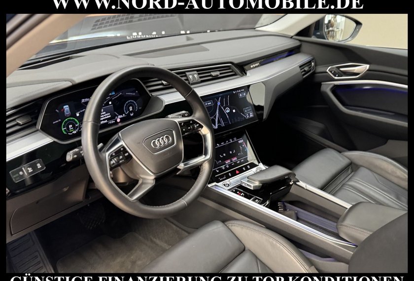 Audi e-tron e-tron 55 QU.Advanced Leder/UPE102/Pano/Matrix/