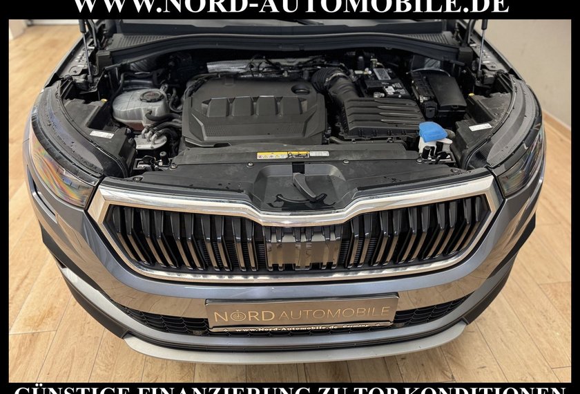 Skoda Kodiaq Kodiaq Ambition 2.0 TDI DSG 7-Sitzer/Kamera/
