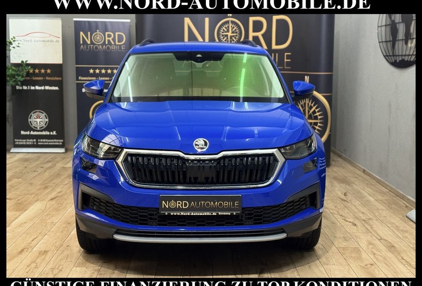 Skoda Kodiaq Kodiaq Ambition Tour 2.0 TDI DSG Matrix/Virt.Coc