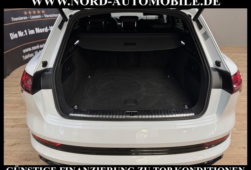 Audi e-tron e-tron 50 QU.S-Line Black Edition Kamera/21/Lede