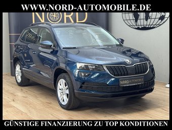 Skoda Karoq Karoq Ambition 2.0 TDI DSG Navi/PDC/SHZ/17