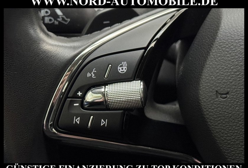 Skoda Enyaq Enyaq iV 80 Loft Wärmepumpe/AHK/Kamera/20