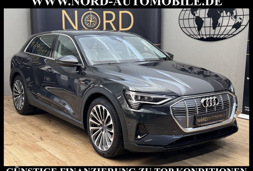 Audi e-tron e-tron 50 QU.Leder/Kamera/AHK/Panorama/21