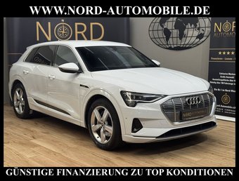 Audi e-tron e-tron 55 QU.Advanced S-Line Int.Advanced Kamera