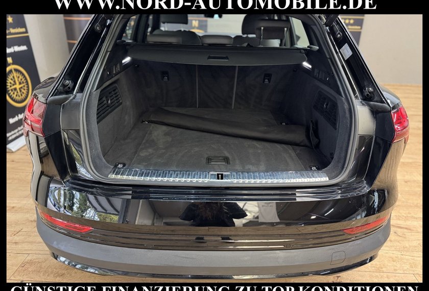 Audi e-tron e-tron 50 S-Line Int. Teilleder/AHK/Matrix/B&amp;O/