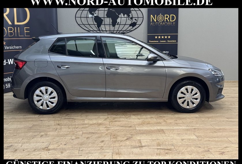 Skoda Fabia Fabia Active 1.0 TSI LED/PDC/Klima/Spurhalte