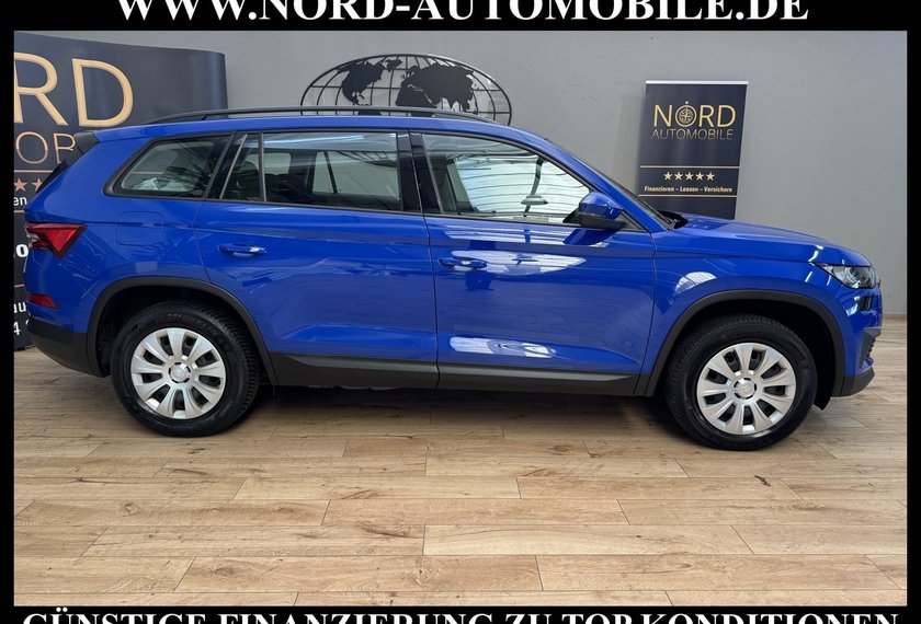 Skoda Kodiaq Kodiaq Active 2.0 TDI DSG LED/AHK/SHZ