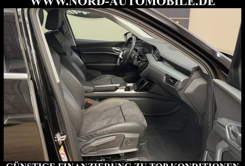 Audi e-tron e-tron 50 QU. Teilleder/Kamera/Navi/LED/20