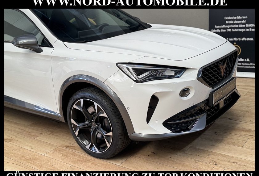 Cupra Formentor Formentor VZ 1.4 TSI e-HYBRID DSG AHK/Kamera/19